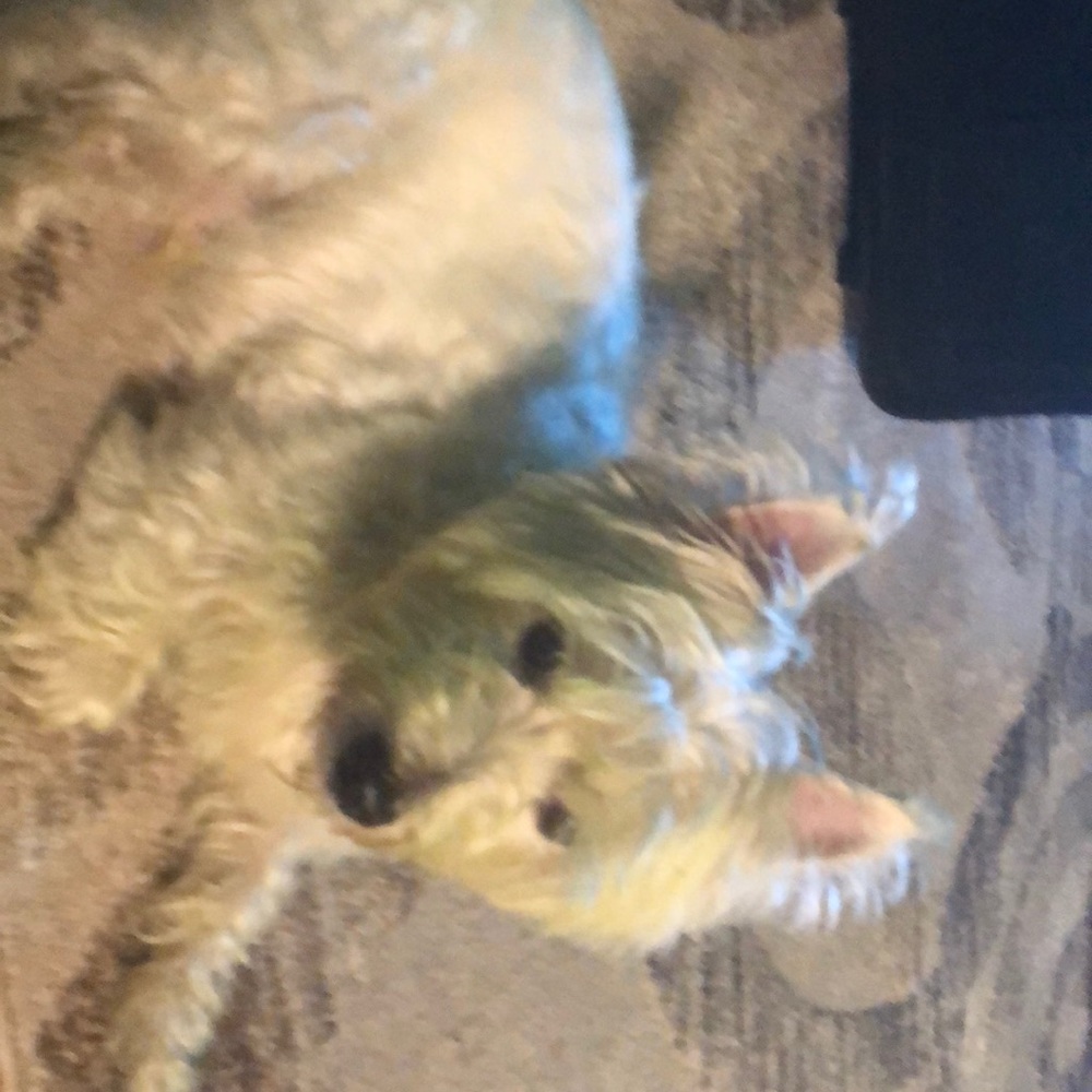 Meet your Posher, Kimberly